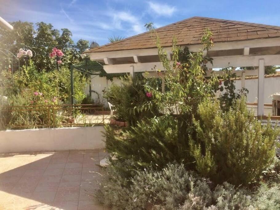 וילנב-לה-מגלון Superbe Appartement En Residence Avec Patio מראה חיצוני תמונה